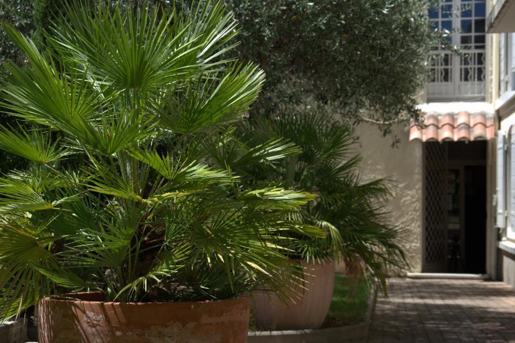 Hotel Du Cheval Blanc Saint-Rémy-de-Provence Dış mekan fotoğraf